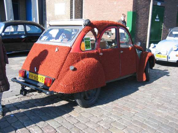 k_IMG_0060.jpg